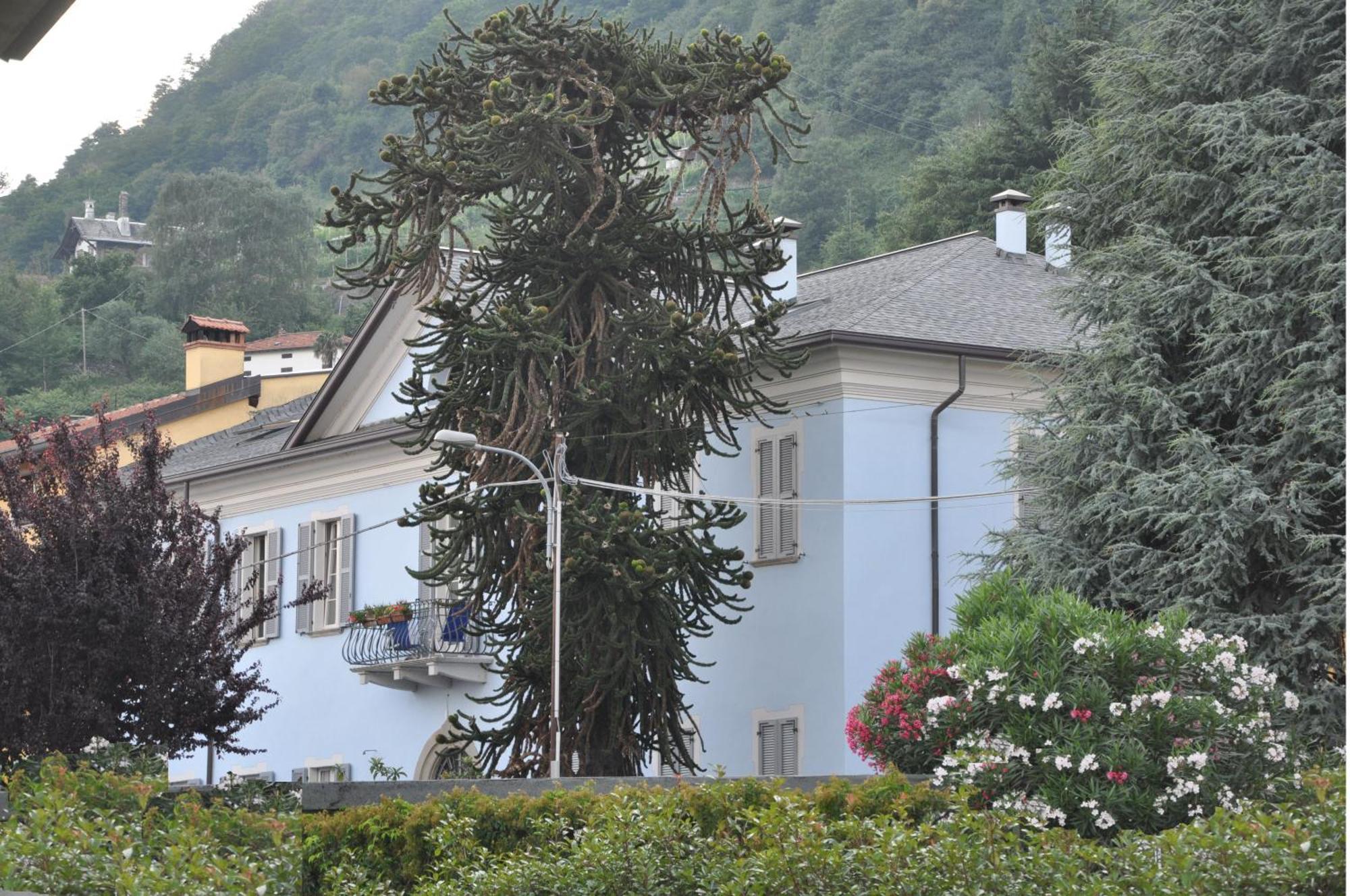 Villa Annamaria B&B Domaso Dış mekan fotoğraf